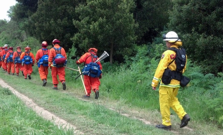 Nearly 1,000 prison inmates fighting California wildfires.