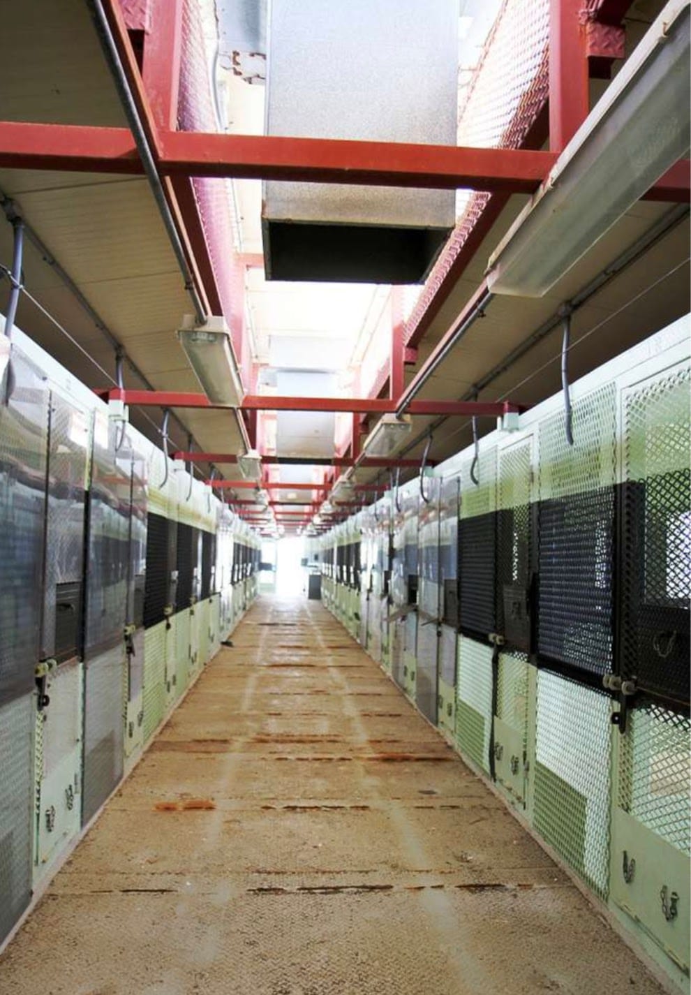 Trump plans on sending up to 30,000 thousand  illegal criminal immigrants to Guantanamo Bay