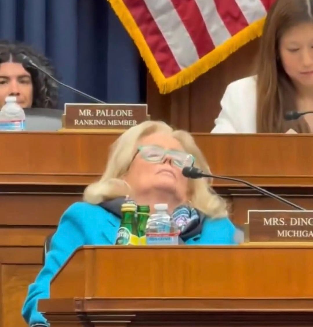 Sleeping On The Job. Should Congress Have Term Limits? Democrat Representative Debbie Dingell Caught Sleeping During a Hearing – Too Tired to Work.