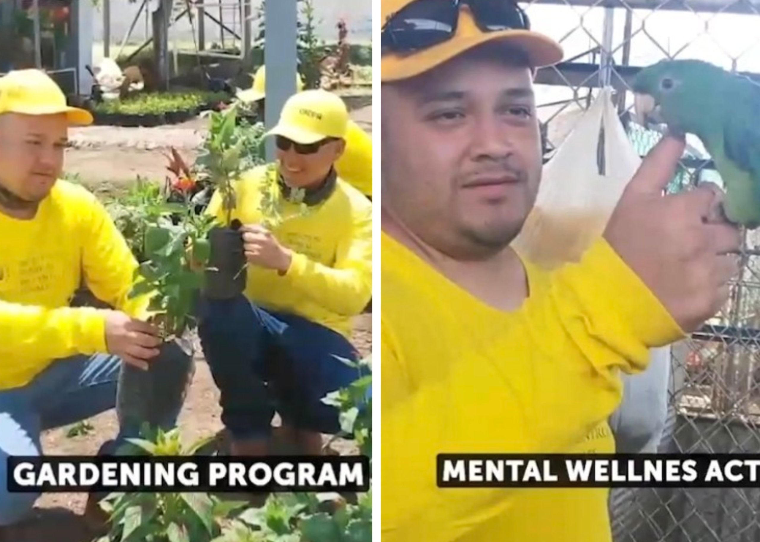 Shocking Prison Video: Kilmar Abrego Garcia’s Torture Claims Clash with Live Prison Footage