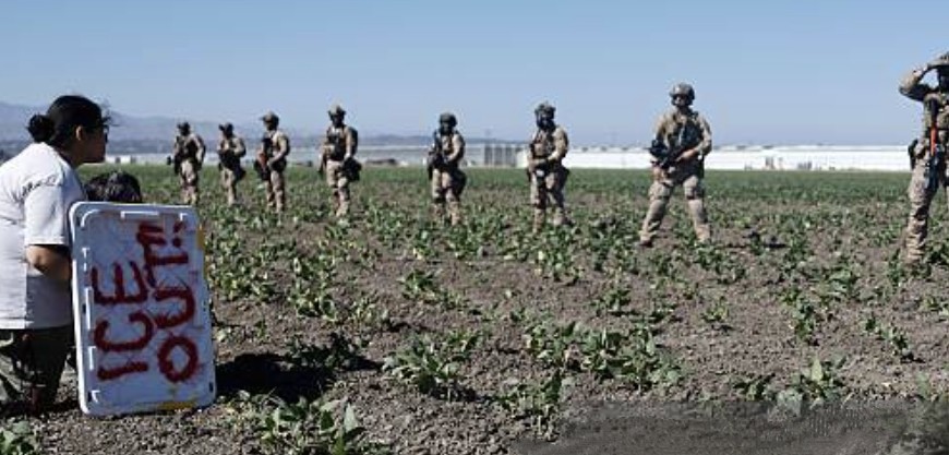Media Spin: Children Rescued from Illegal California Marijuana Farms, Media Claims ICE Targeted Innocent Farmers