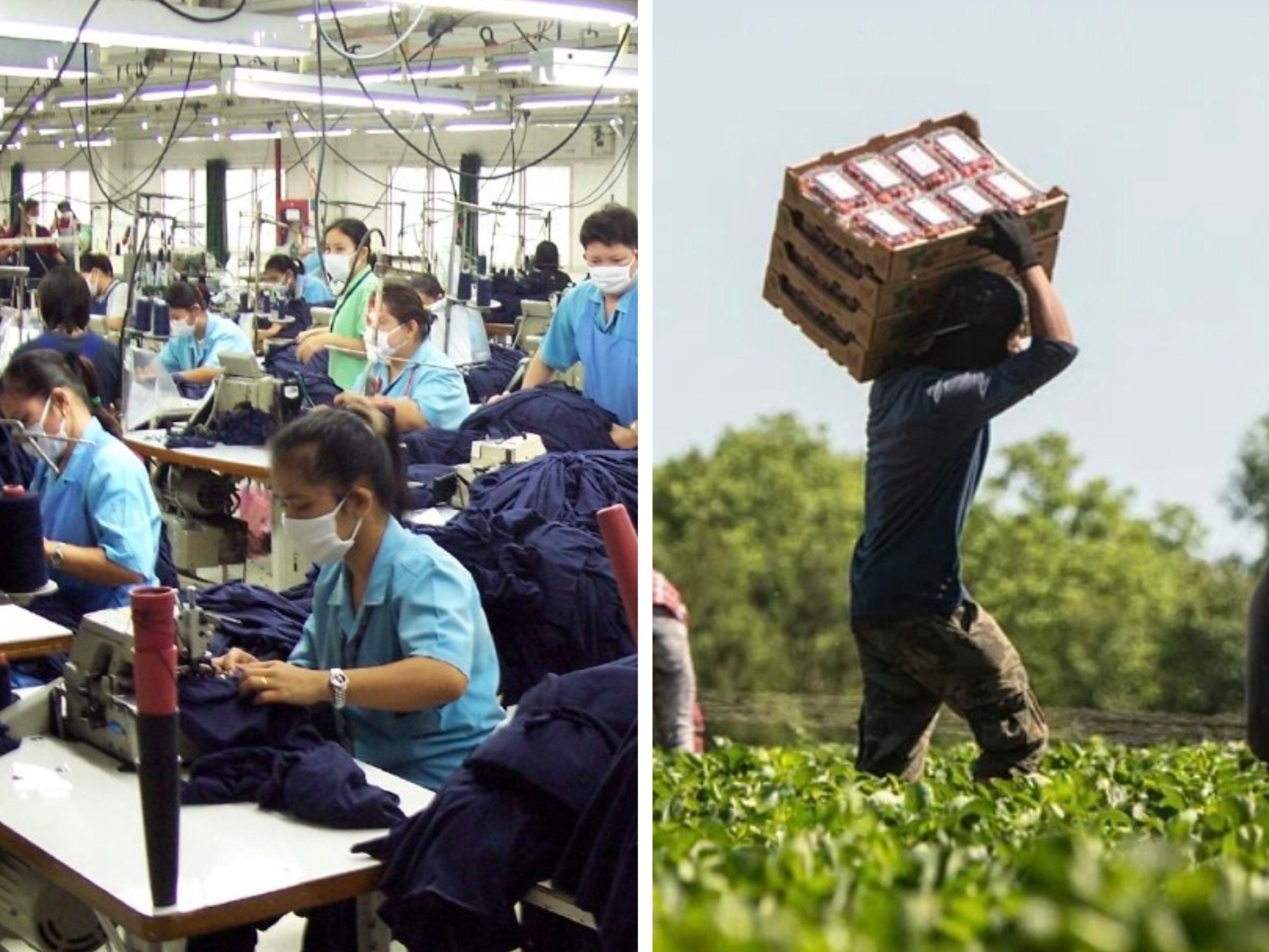 Slave Labor and Exploitation of Undocumented Workers: A Call for Legal Reform for the Democratic Party